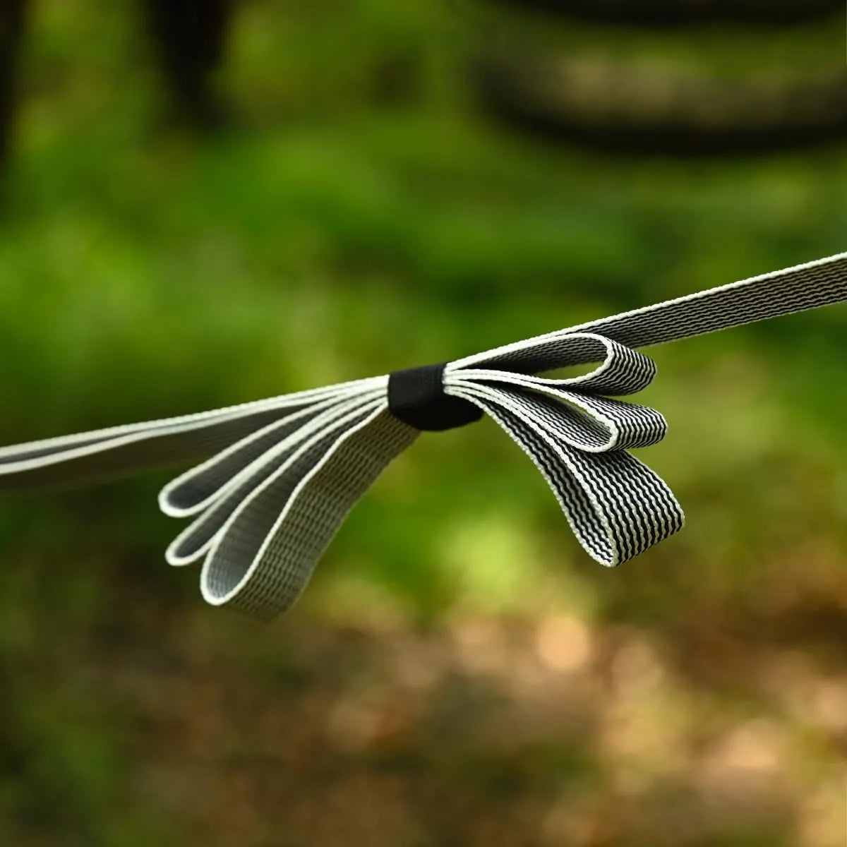 Whirlwind Hammock