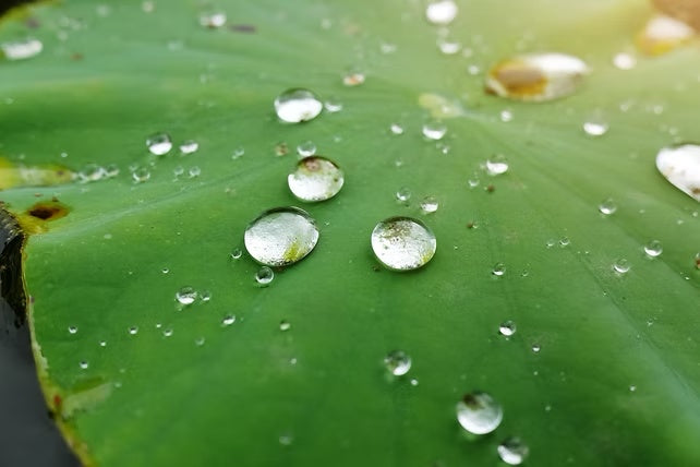 Waterproof vs. Water-Repellent: What’s the Difference?