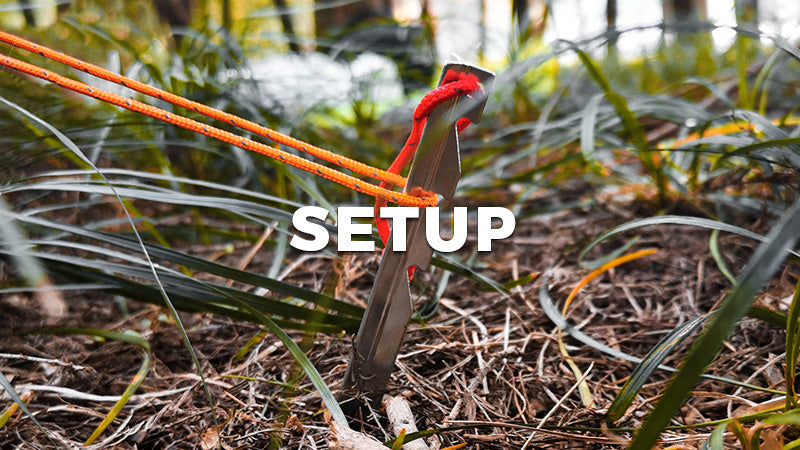 Setup