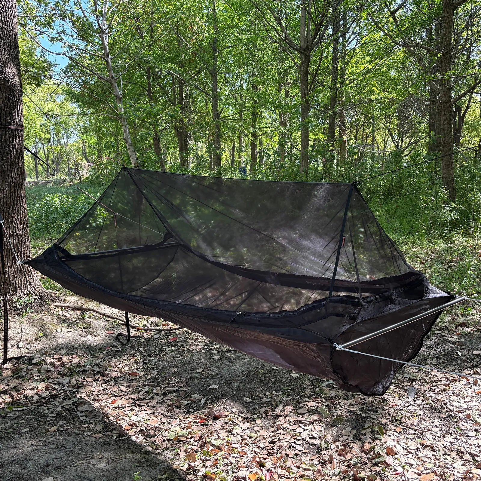 Crystal Bridge Hammock