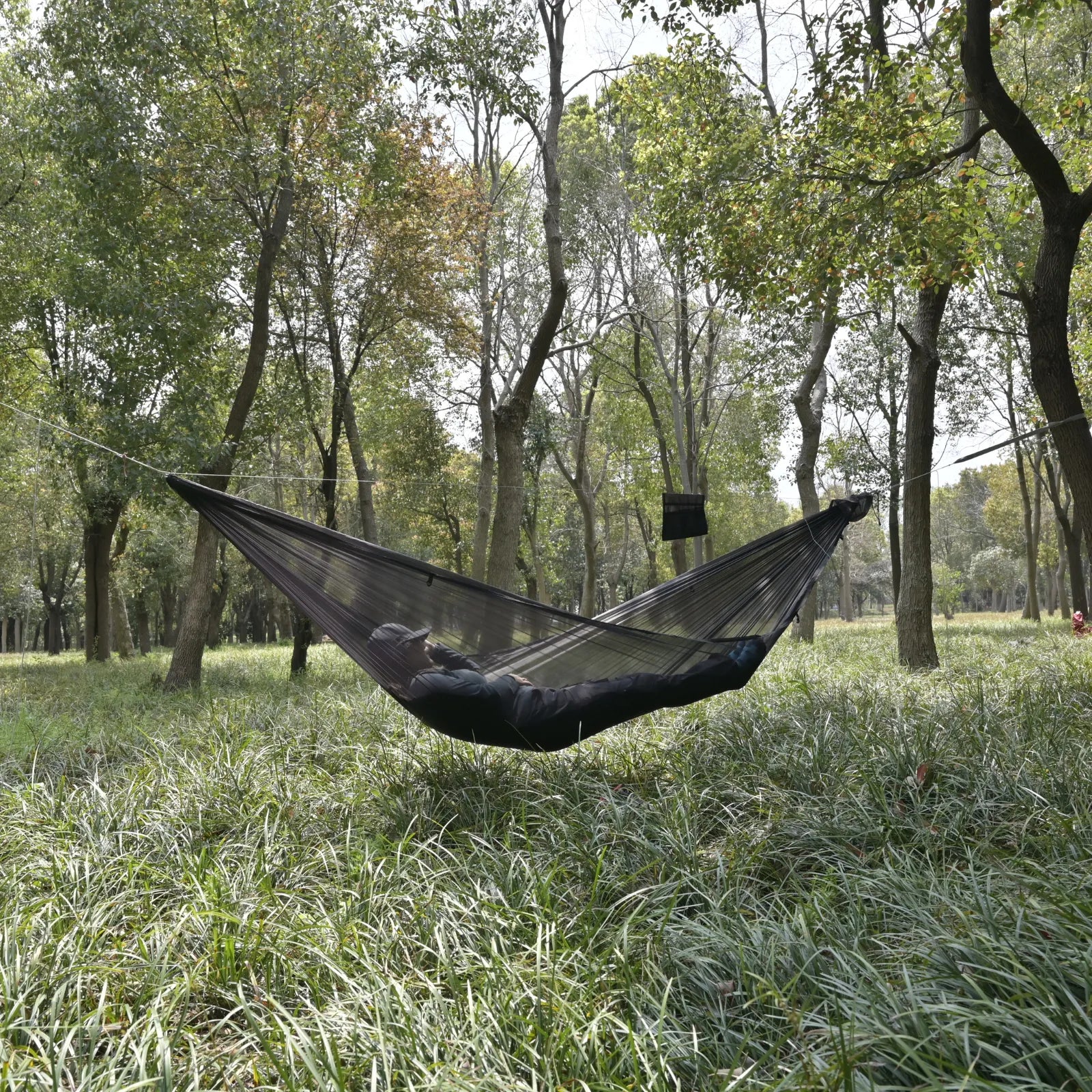 Prism Hammock