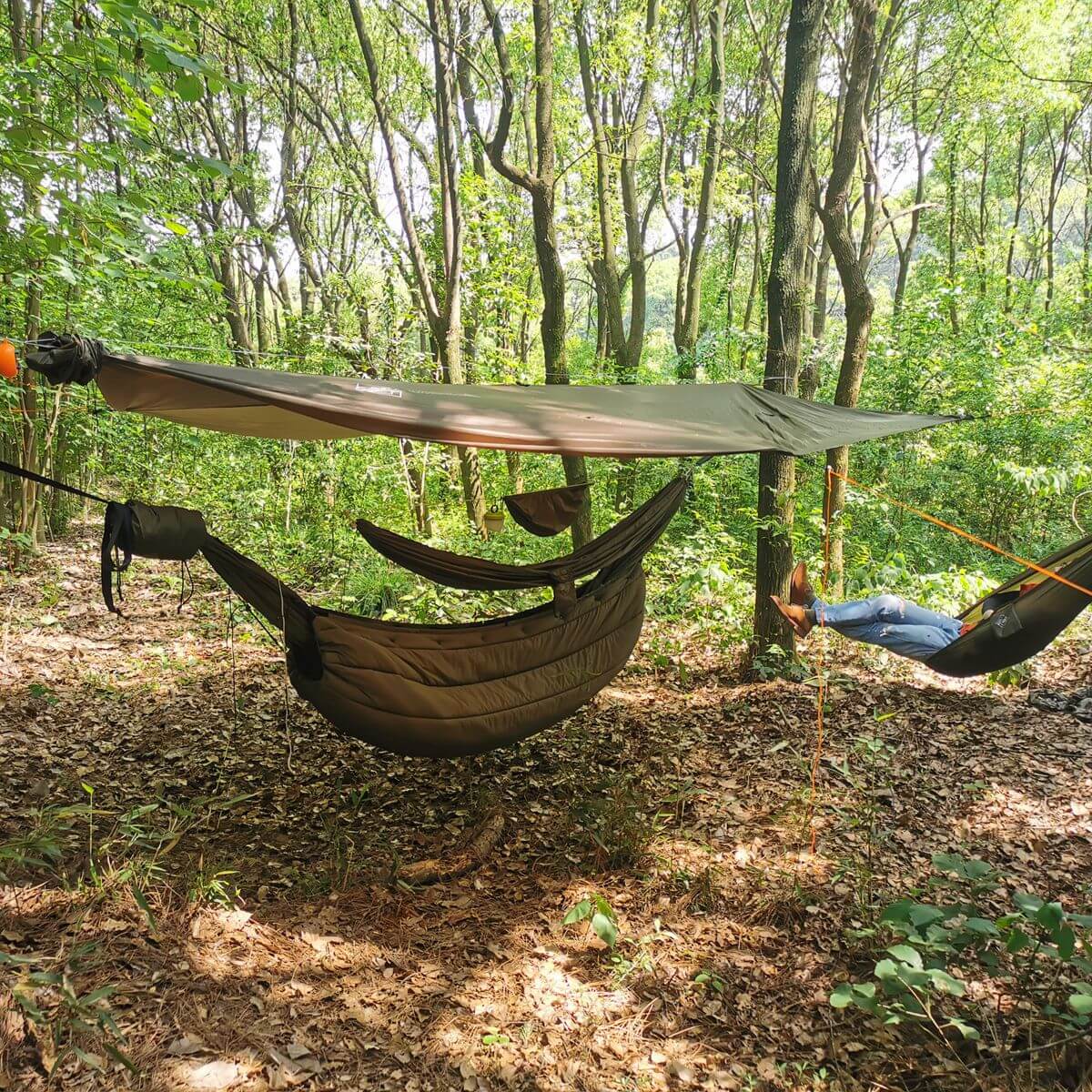 Hammock Camping Set Up Wild | Onewind Outdoors